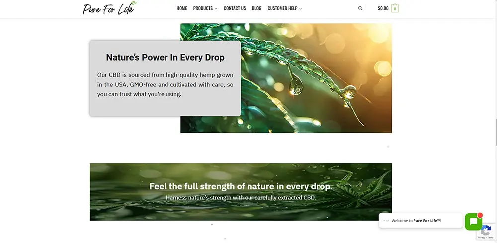 Сайт за CBD козметика — Виж сайта